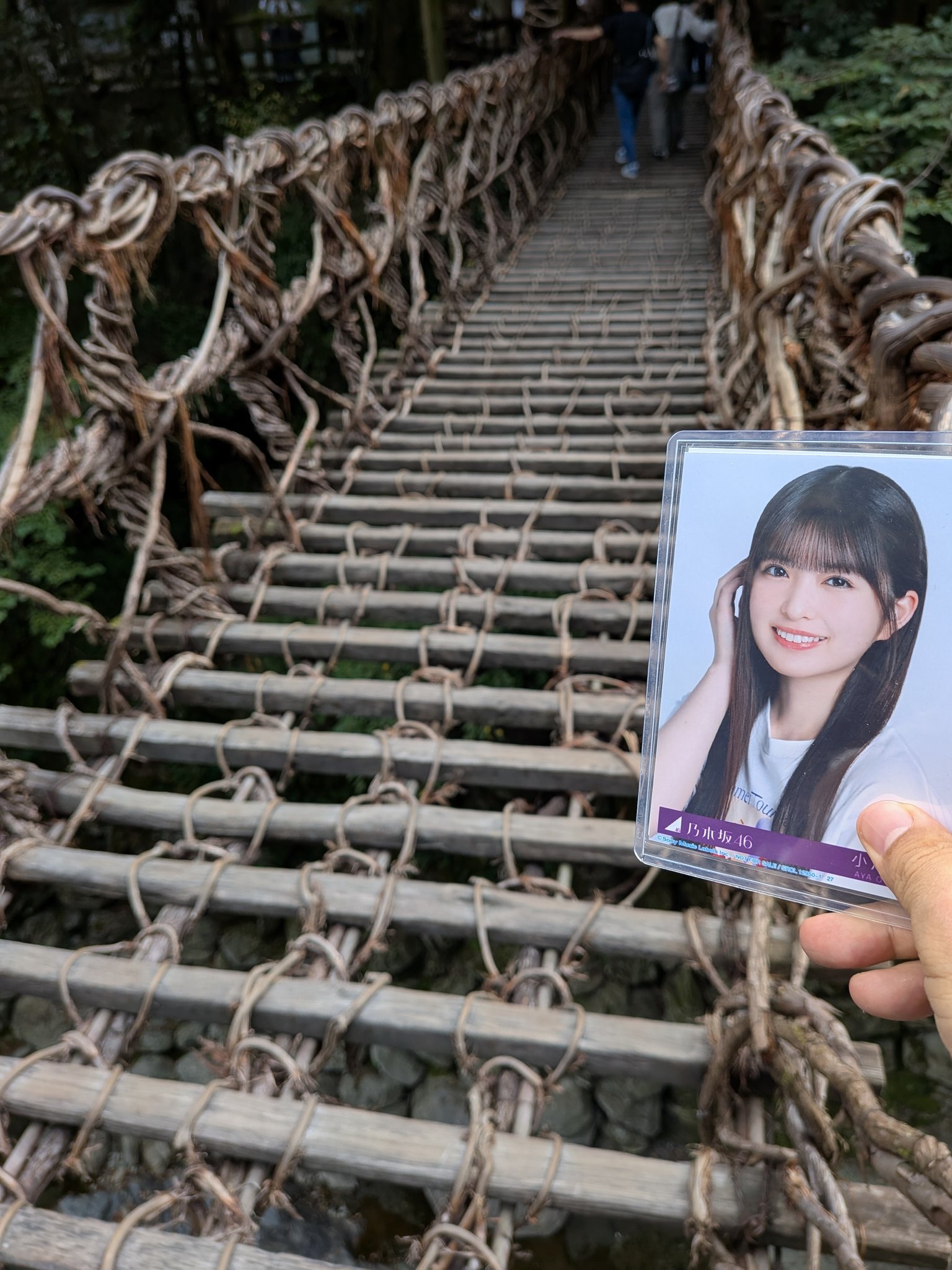 かずら橋 - Search / X