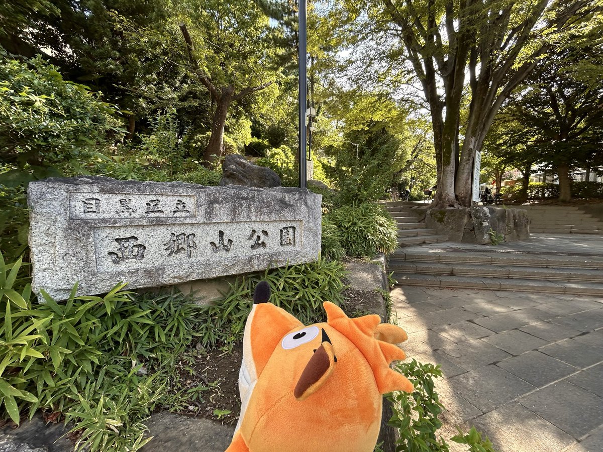 クラッシュくんがやってきたのは
東京都目黒区にある #西郷山公園 🌳

この場所は…
約25年前に発売された「クラッシュ・バンディクーカーニバル」実写おまけムービーの撮影地なのだ！🎉🎈