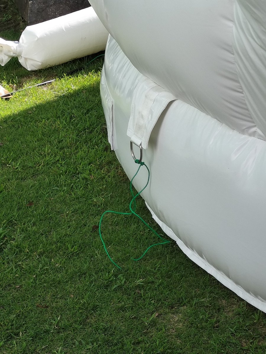 nurux2's tweet image. 改めて
本日のフワフワ
@afromance さんのところ
#トスネスティバル
#tosunestival