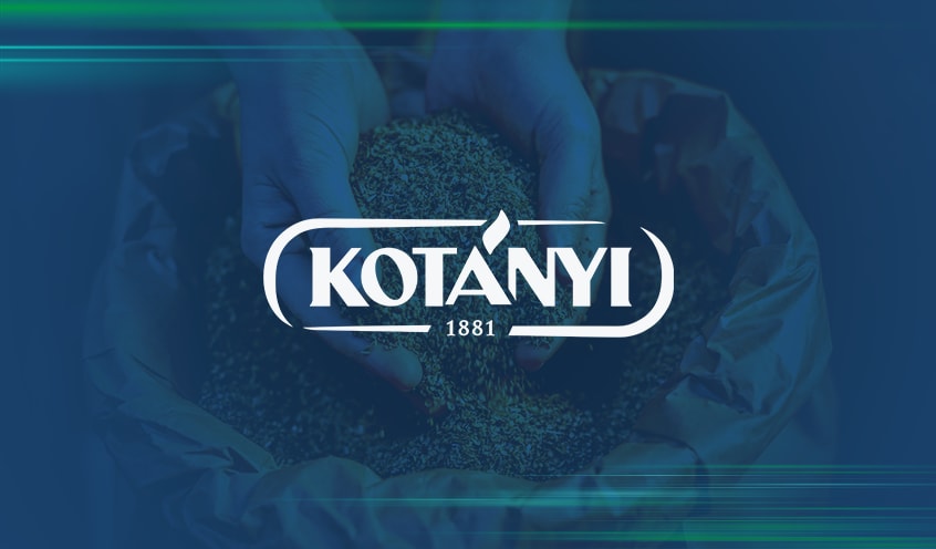 By using Qlik Sense, the Austrian spice manufacturer has reduced reporting time by 60%, made data retrieval 80% faster, and empowered 200+ employees to make smarter, faster decisions. Learn more here: infl.tv/pvmt