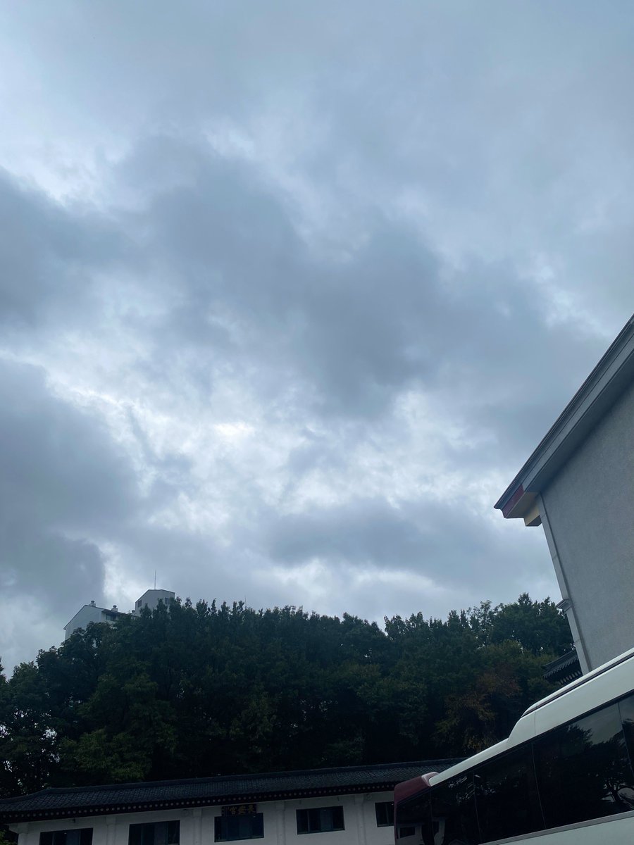 단정🕯️ tweet media