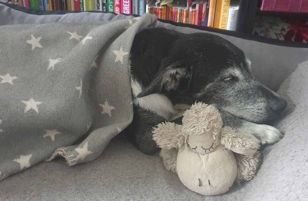 ıuƃǝqoɹɔɥ 💚🌍🕊🏳️‍🌈🇺🇦 tweet media