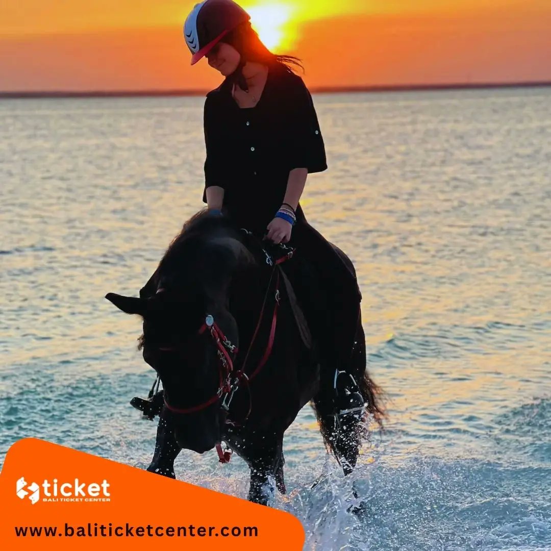 TicketBali's tweet photo. Bali Tour Packages: Horse Riding, ATV &amp; VW Adventure

https://t.co/xJHPKLxycB

#Travel #Brunei #Tours #holiday #vacation #adventure #Dubai #Philippines #Emirates #uea #Singapore #Malaysian #Indian #Australia #America #Bali #trip #europe #السعودية https://t.co/udkPZCqDG7