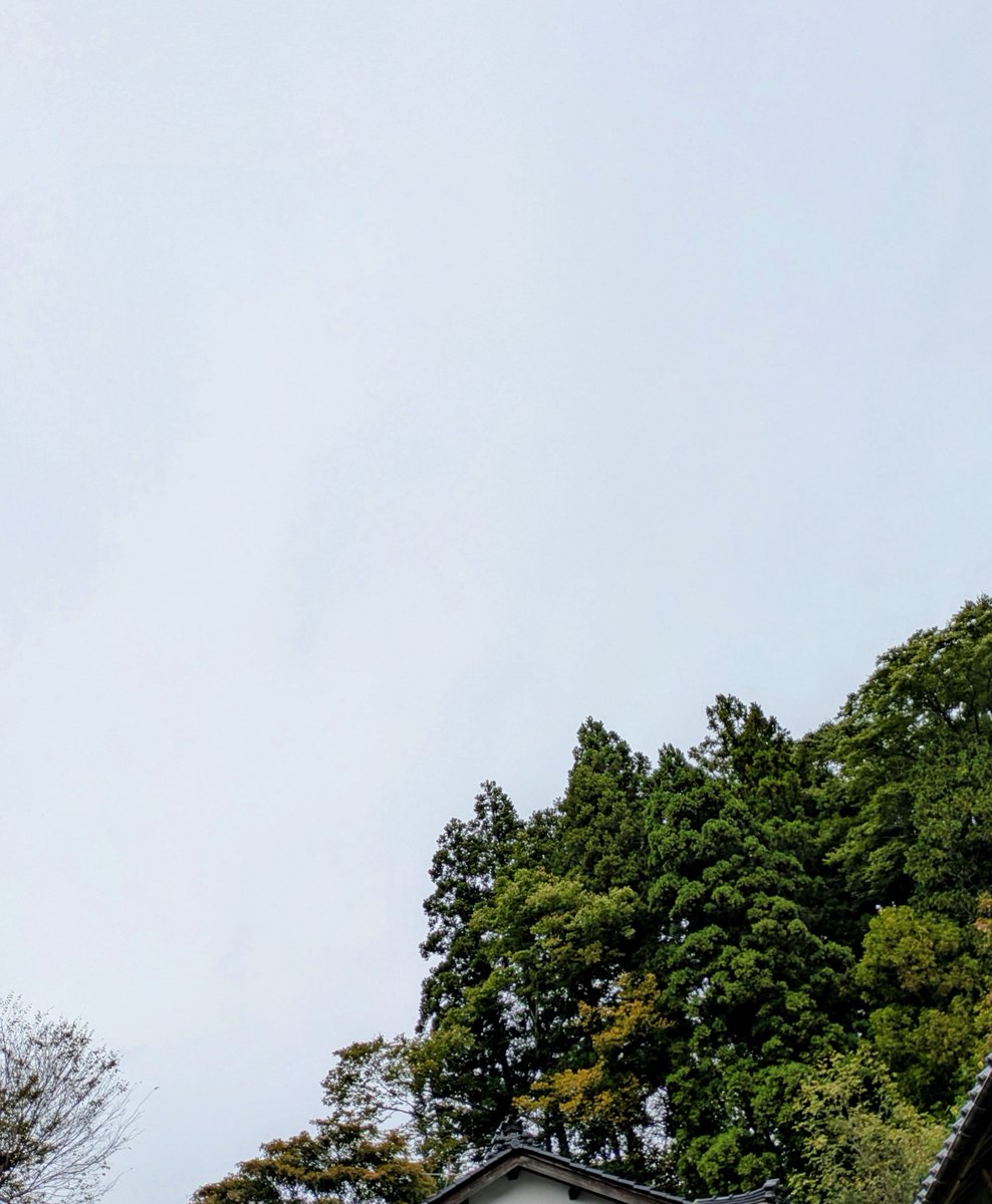 498Mar's tweet photo. 稲刈り最終日。
本格的に雨が降る前に今年の稲刈り完了！（乾燥・籾摺り等残ってるが）
今年は水害無く、台風も無く、長雨も無く、天候に恵まれ、無事収穫できました。
イエス様、助けてくださりありがとうございます！
祈って下さった皆様、ありがとうございます！
と、天を見上げて感謝。 https://t.co/yzIO3hA7fm
