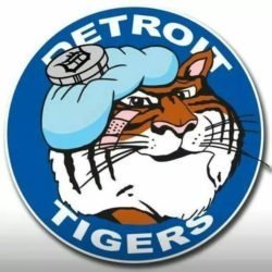 ABoleynGirl's tweet image. #BuiltForOctober #Rep
Well, @tigers, at least we had April, May, and June. I don&apos;t know WTF happened to you guys after the ASB, but..