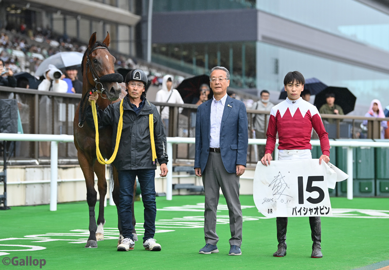 gallop_keiba's tweet image. 東京8Rは1番人気 #パイシャオピン が勝利！ 初勝利を目指して完全に抜け出していたルーキー谷原柚希騎手のタマモカンパネラをゴール寸前でかわしました！