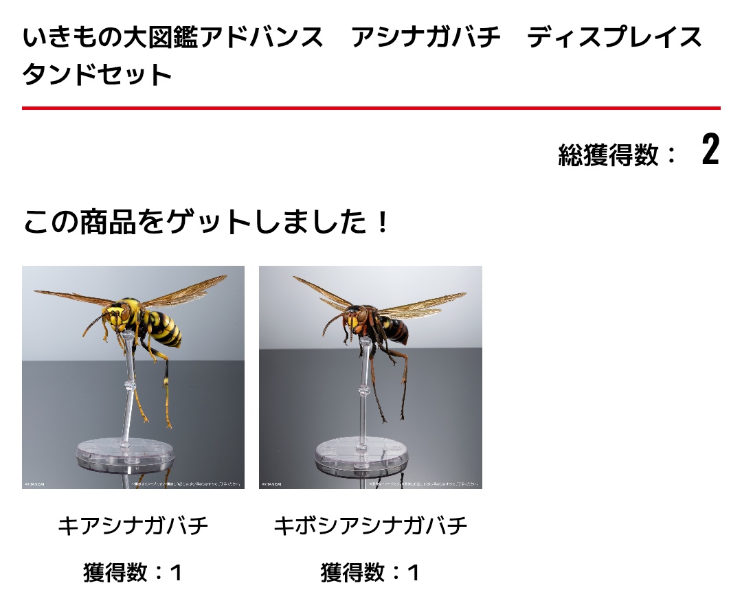 いきもの大図鑑の新作、アシナガバチを2回。 今回は良い引き。