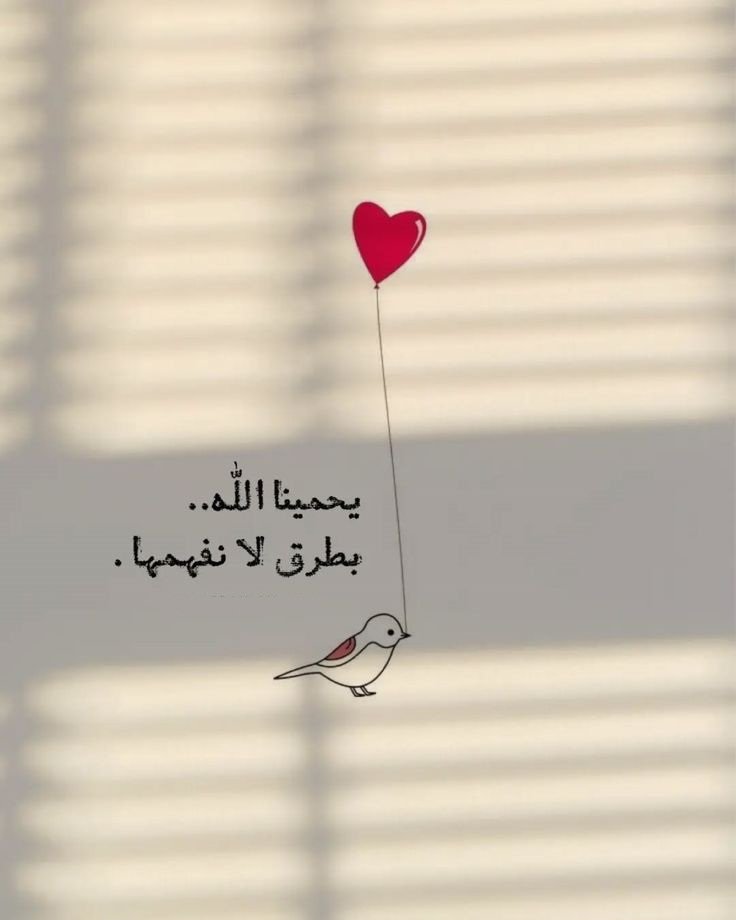 motm2na_'s tweet image. فالحَمد للهِ♥️..