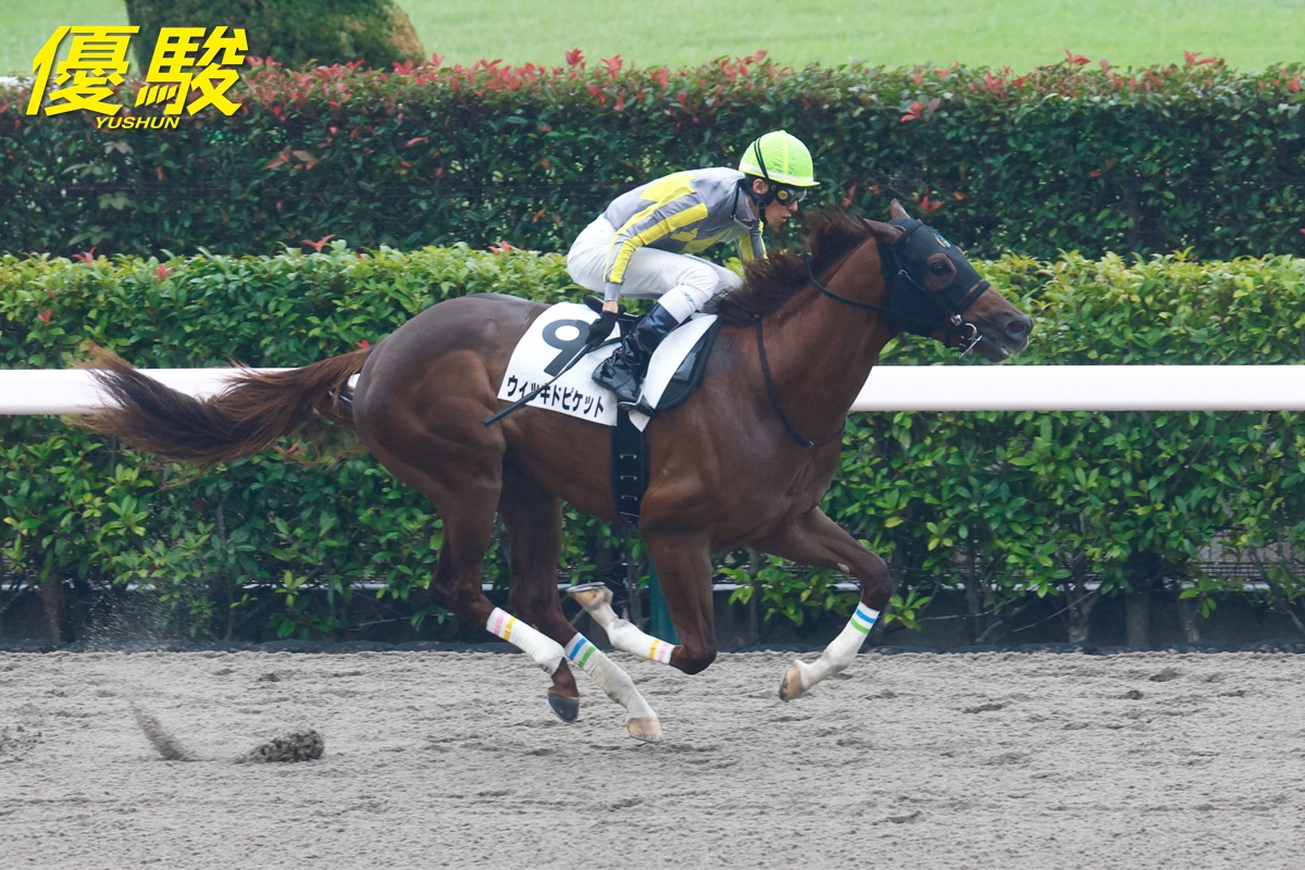 YUSHUN_Magazine's tweet image. 東京第４レース「２歳新馬」(ダート1400m)は #津村明秀 騎手騎乗の #ウィッキドピケット が先手を奪い、１番人気のカーリキューに６馬身差を付けました。
勝ちタイムは１分25秒４、上り３ハロン37秒０(稍重馬場)。…