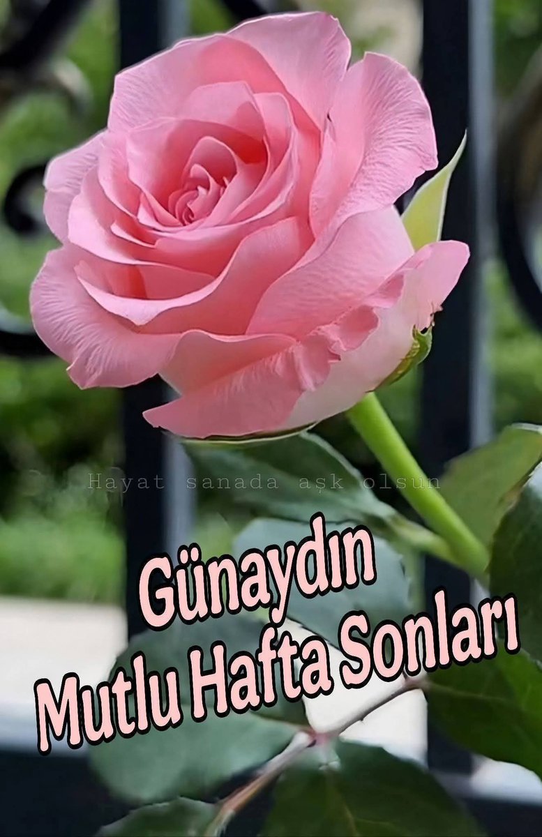 nlf16's tweet image. Ne güzeldir,günün ilk saatinde tatlı bir dilden iyi dilek temennisi almak 
Güler yüzle #günaydın demek
İçindeki yaşam sevinci,hayata bağlılık insan sevgisi 
günühuzurlu ve mutlu kılar
Herkesi günü aydın gönülleri aydın ve her gününüz aydınlıklarla dolu olsun #cumartesi #Altın 🌞