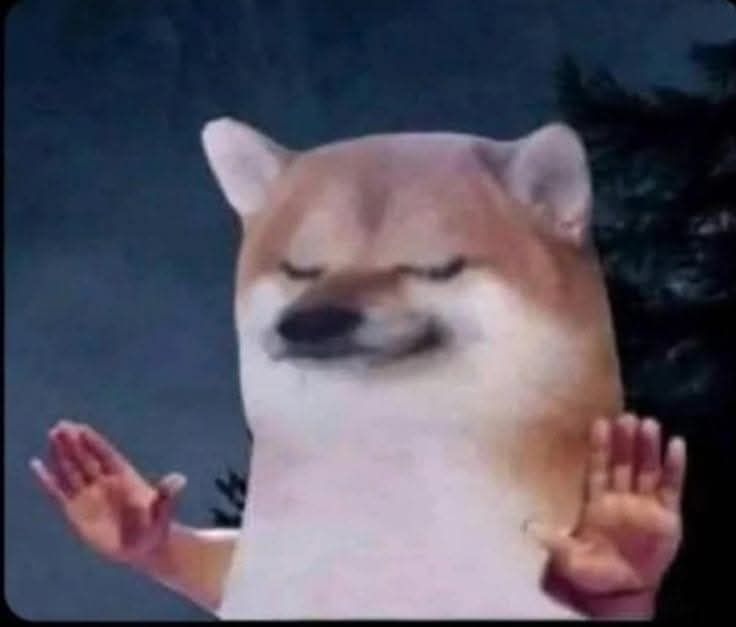 진정시키는 제스처로 손을 든 Doge 밈