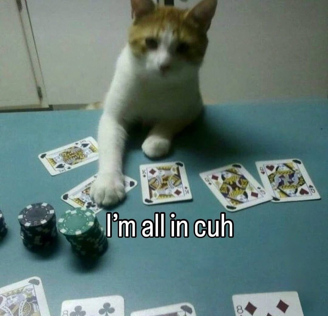 Baby_Bitkas's tweet photo. @Justinf_DeFi f**k im all in https://t.co/vqVciHrosv