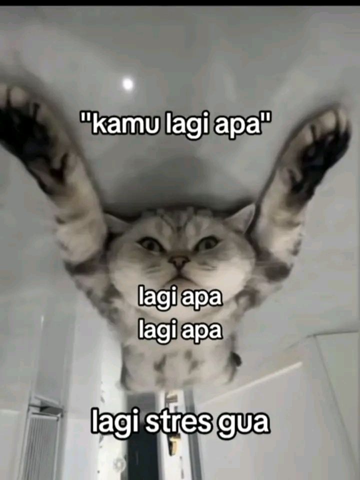 𝐆𝐞𝐭 𝐑𝐢𝐜𝐡 (@richmoneyy6) on Twitter photo 