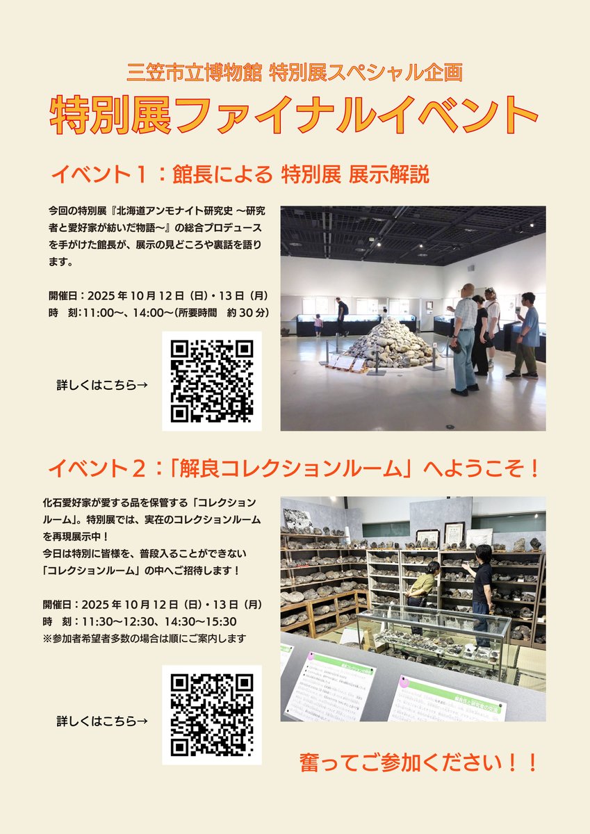 まとめ売り　三笠 mEDYyWqP7S8qoLnQroVawwMavWIx9V