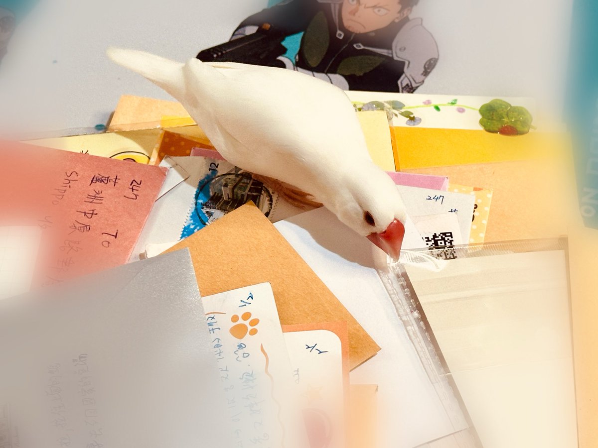 和湯圓一起重溫卡片
在了解一位尾粉的故事的過程中
居然可以如此療癒(⁎⁍̴̛ᴗ⁍̴̛⁎)
謝謝勇於分享自己內心世界的每一位尾粉
🧡