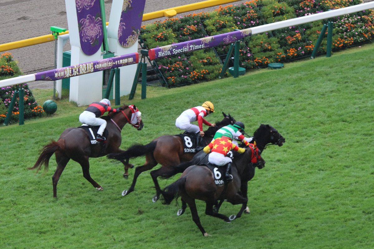 東京9R陣馬特別🐴直線4頭横並びの熾烈な争いから、最後は中を割ったダノンホイットニーがアタマ差抜け出し勝利をもぎ取りました‼️

叔父にドンフランキーがいる馬力溢れる血統から、今日のような馬場もマッチしたかもしれませんね🏆

おめでとうございます👏

 #ダノンホイットニー
 #大竹正博 厩舎