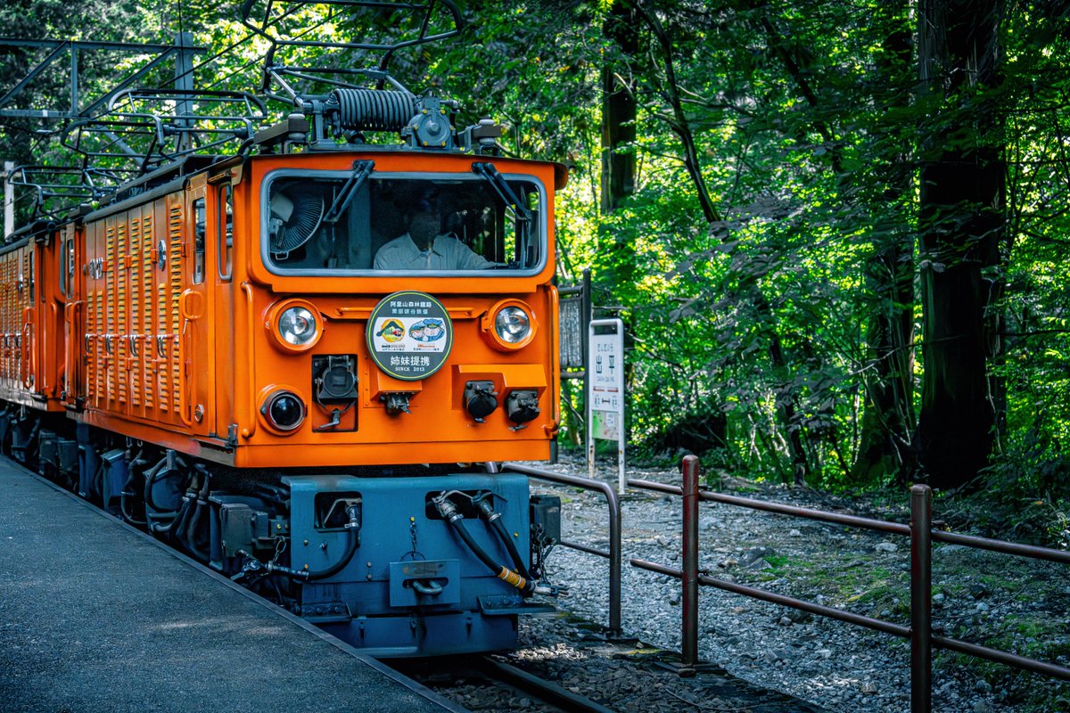 taka_666_'s tweet image. 黒部峡谷トロッコ電車に乗って行く小旅行その3  

#写真好きな人と繋がりたい 
#黒部峡谷トロッコ電車