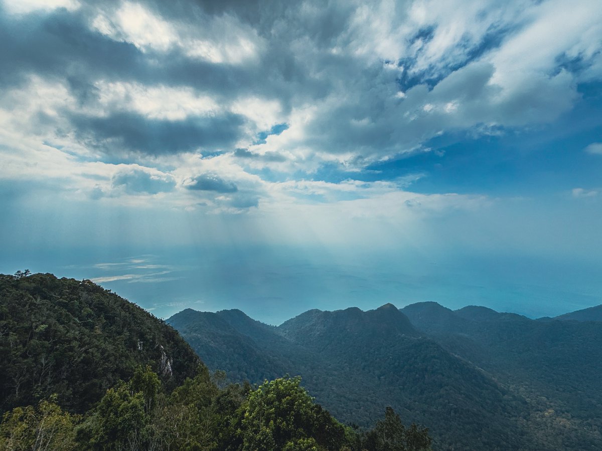 CitizenLens tweet media