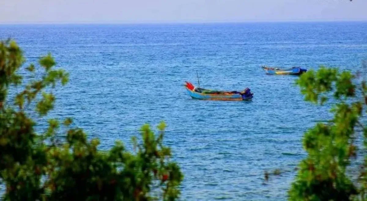 Guddoomiyah agobolka Raas-casayr ee Puntlan dCumar Cismaan Siciid ayaa go’aano ku meel-gaar ah ka soo saaray xiisadda u dhexaysa wasaaradaha Maaliyadda iyo Kalluumaysiga ee ka aloosan xeebaha gobolkaasi.

horseedmedia.net/maamulka-gobol…