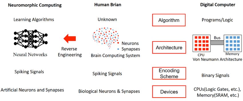 kisalay_Cool95's tweet image. 🧠 Java in Futuristic Computing Research — from Neuromorphic Chips to Edge AI Systems
When people talk about future computing, they think of quantum processors and brain-inspired chips.
But quietly, Java is still there, orchestrating, simulating, and managing it all.
Here’s how…