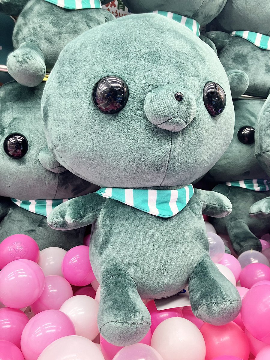 🐙景品情報🎓 #教育番組 ✖️#GiGO キャンペーン本日より開催