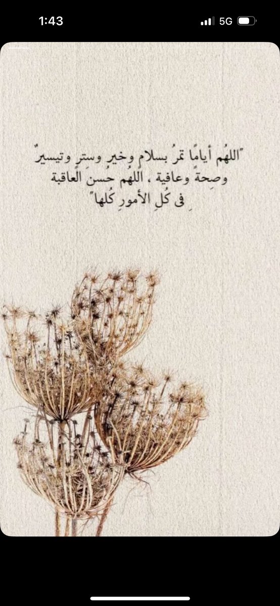 _amjadalqhtani's tweet image. #طفشانه