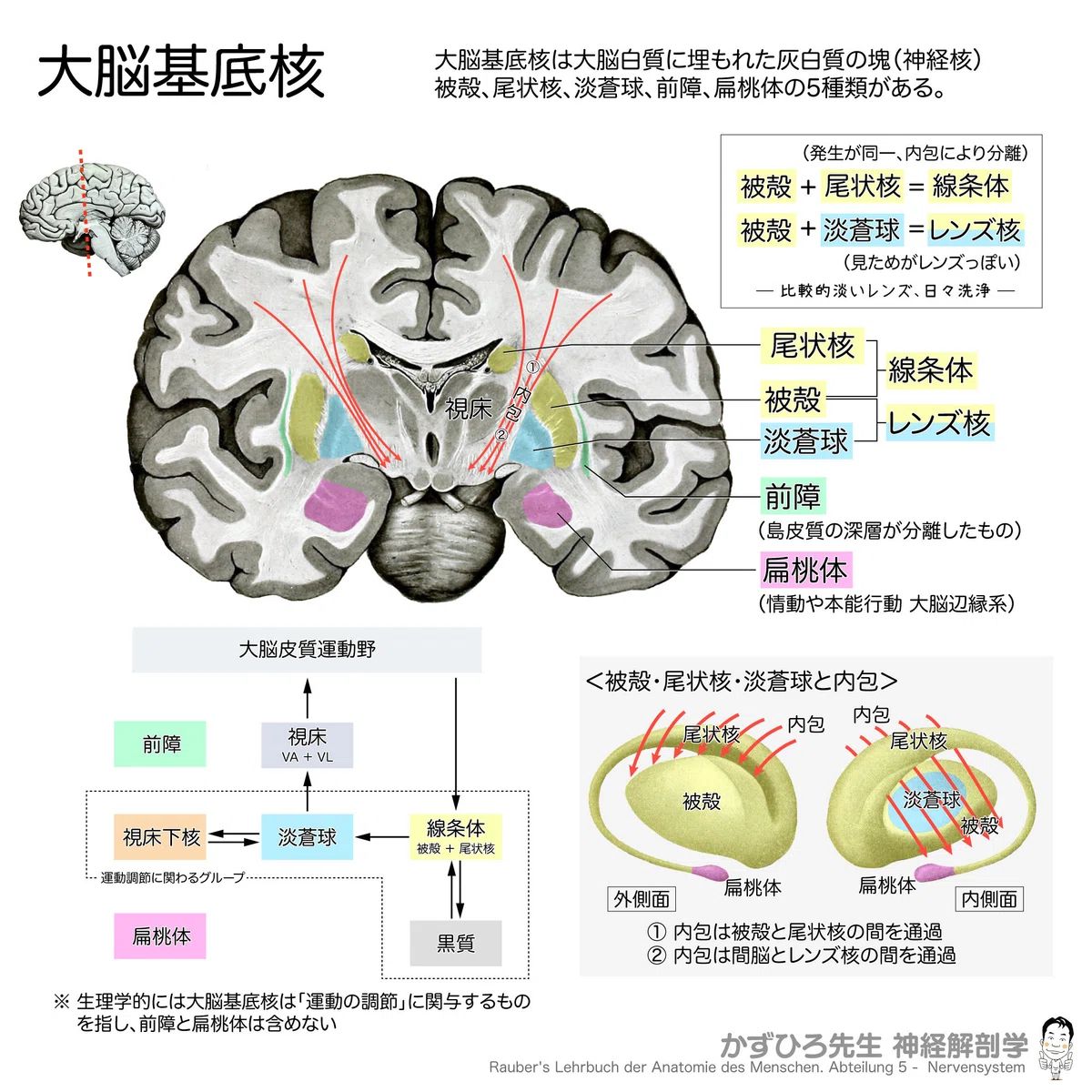 黒澤一弘・触芯会｜Claude・解剖・指圧・iOSアプリ開発 on X: 