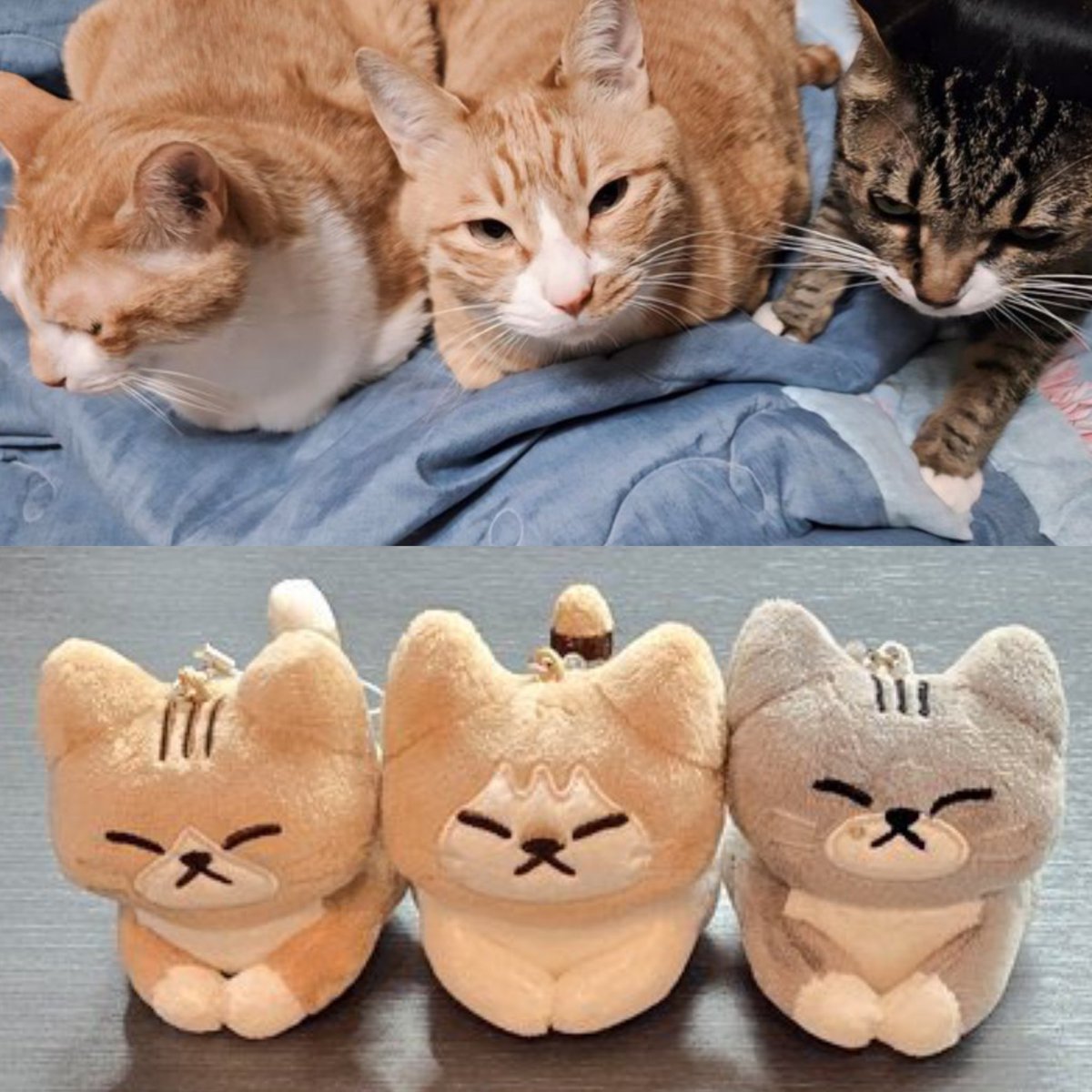 WTS LFB PH

Stray Kids SKZ

Dominate Encore: Celebrate Merchandise SOON DONG DORI PLUSH tingi

secured from apricotnim

PHP 750 each
SOON ✅
DONG ✅
DORI ✅

30% DP 
70% Pay when on hand

*Not including pob