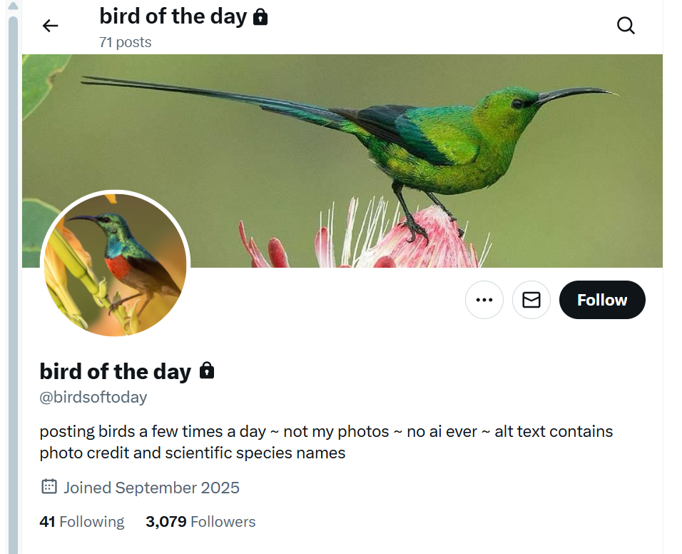 SandyHorne61's tweet image. After I called out this account for posting other peoples' photos without attribution, they have locked their account. Now promising to put photo credits in alt text. Not good enough. Keep an eye out for these content stealing accounts. Unethical behaviour.