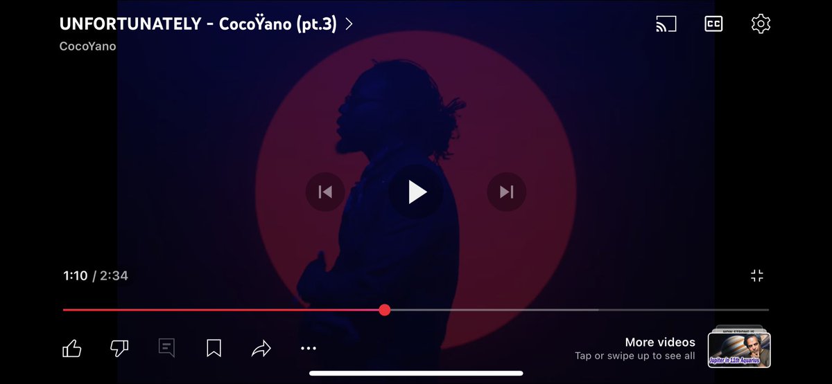 CocoŸano tweet media