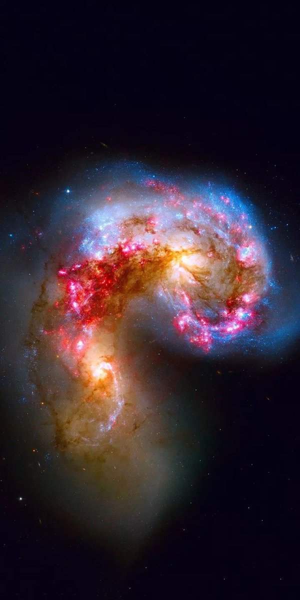 maiz_julio's tweet image. Arp244 Colisión of the Antenae galaxies (NGC4038 &amp;amp; NGC4039)in Corvus constellation by Hubble telescope #NASA #JPL #Caltech