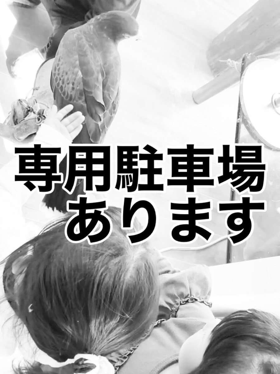 owlcafe_sweets's tweet photo. 🦉癒しのフクロウたちに会える大阪の隠れ家カフェ☕️
ゆったりした時間を過ごしにきませんか？
#フクロウカフェ #大阪カフェ #大阪癒しスポット #動物カフェ #癒しカフェ #隠れ家カフェ #ふくろう好き #カフェ巡り #癒しの時間 #週末のおでかけ #鳥好きさんと繋がりたい #フクロウと会える場所 https://t.co/F94PnRXT4r