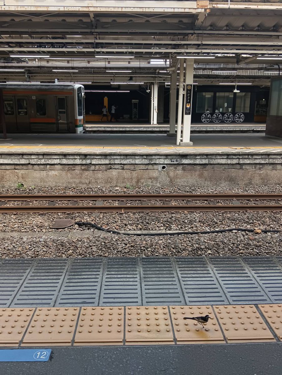 転売ヤー - Search / X