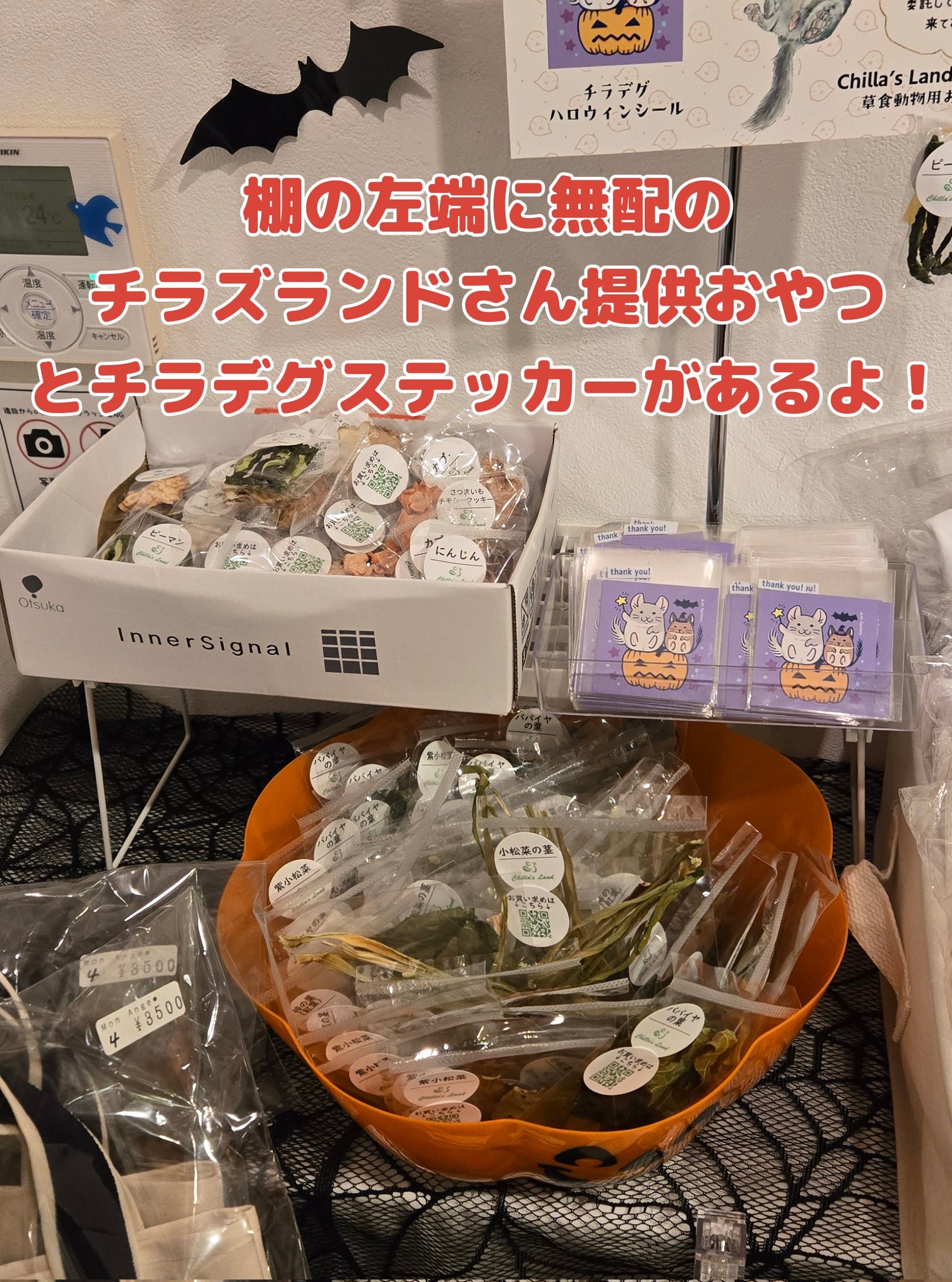 着用数回、美品！チンチラケープ♡︎ 着用数回、美品！チンチラケープ♡︎