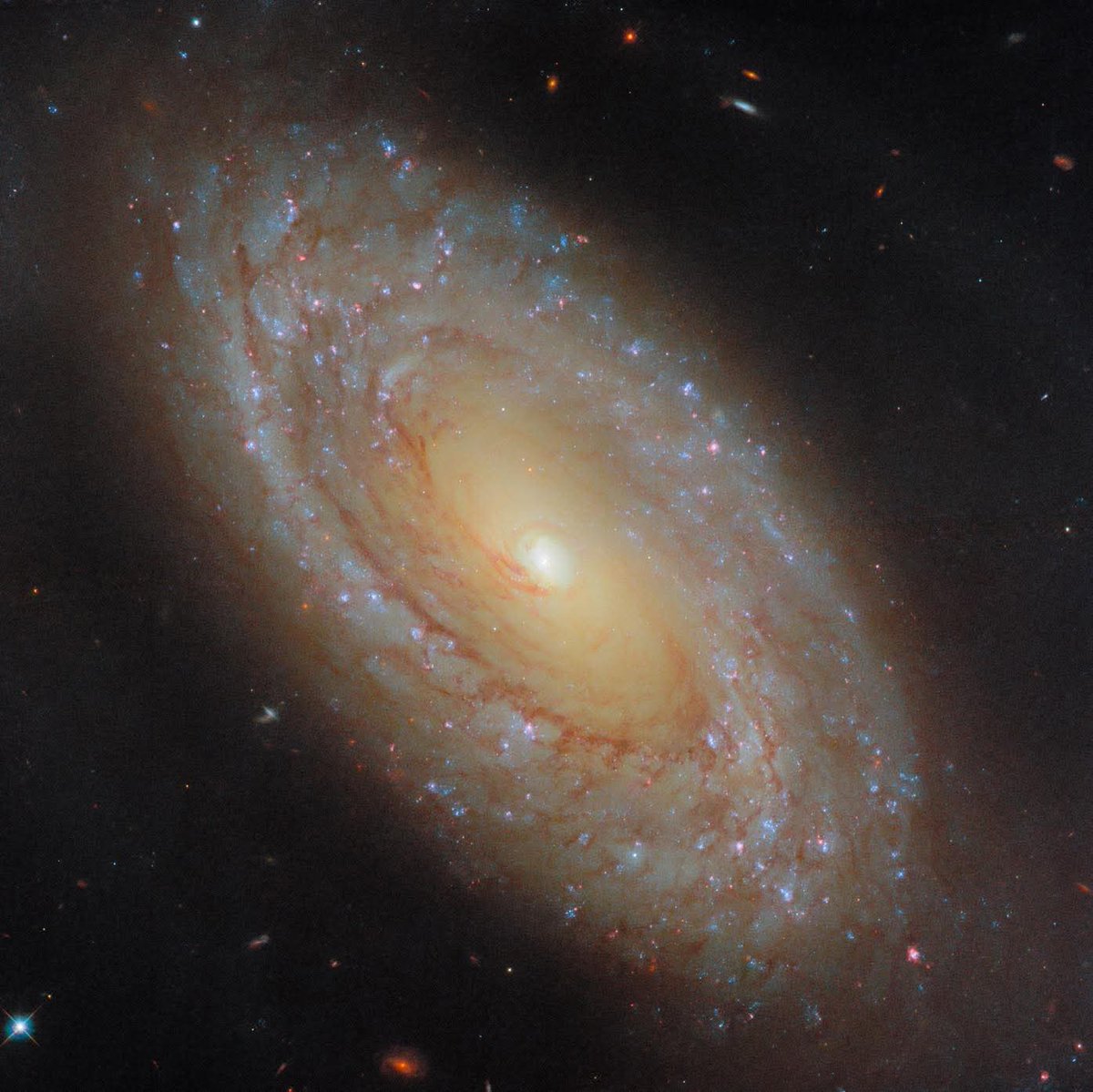 Hubble's image showcases spiral galaxy NGC 4941, about 67 million light-years away in Virgo. Its cosmic proximity lets Hubble capture fine details like star clusters and gas/dust filaments.The image data comes from a program exploring star formation and stellar feedback in nearby