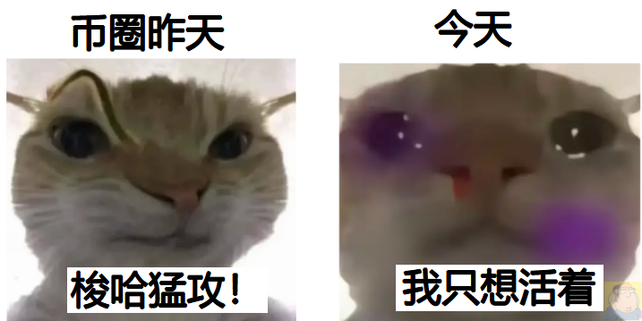 顶级聪明钱 tweet media