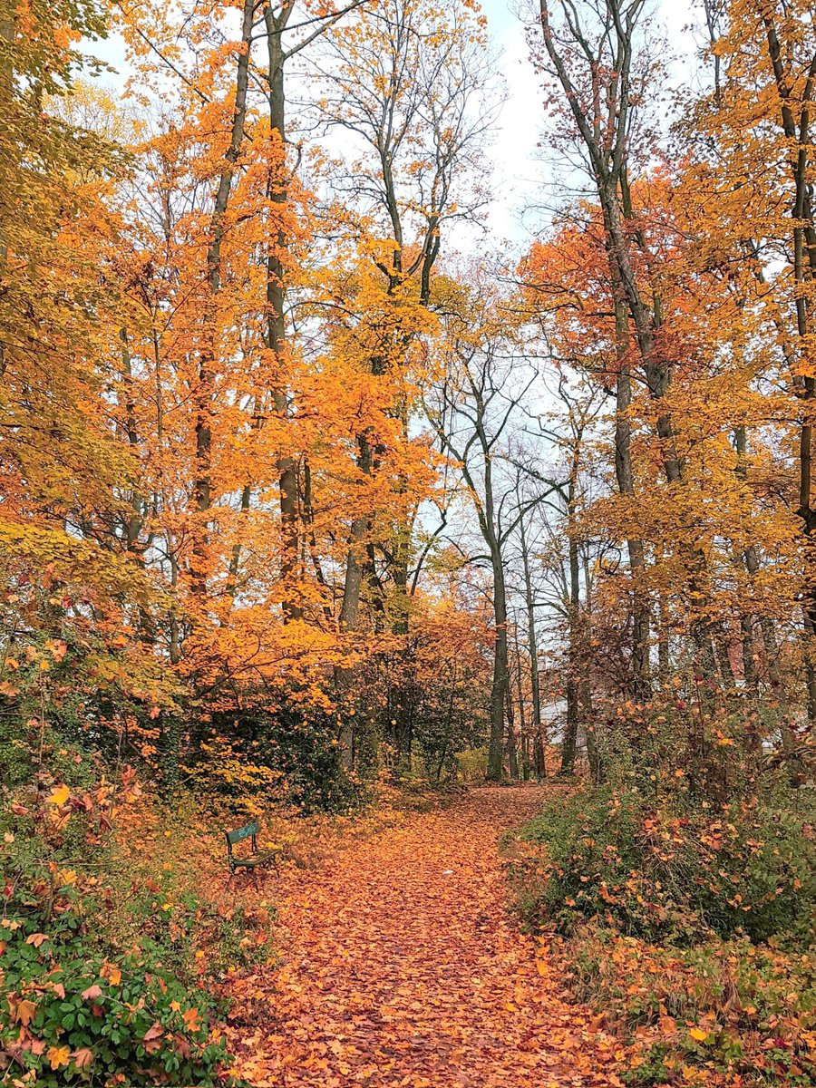 MESSAI_Bill's tweet image. Good Saturday 🍂 #WeekendVibes