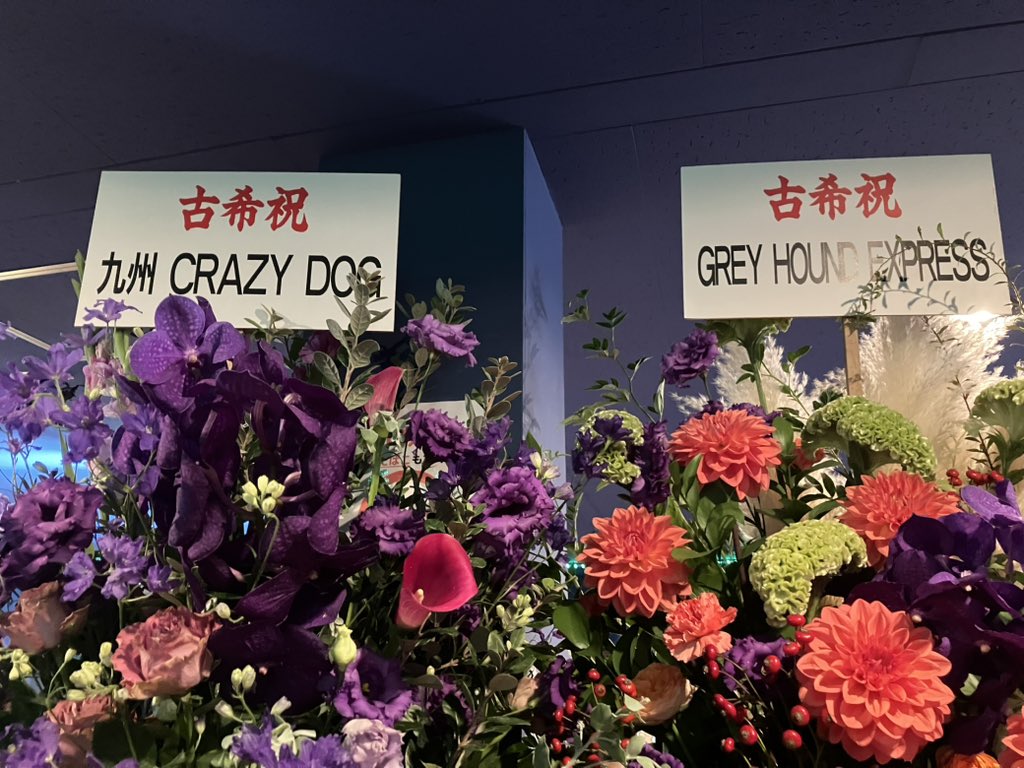 めでたいめでたい🐟