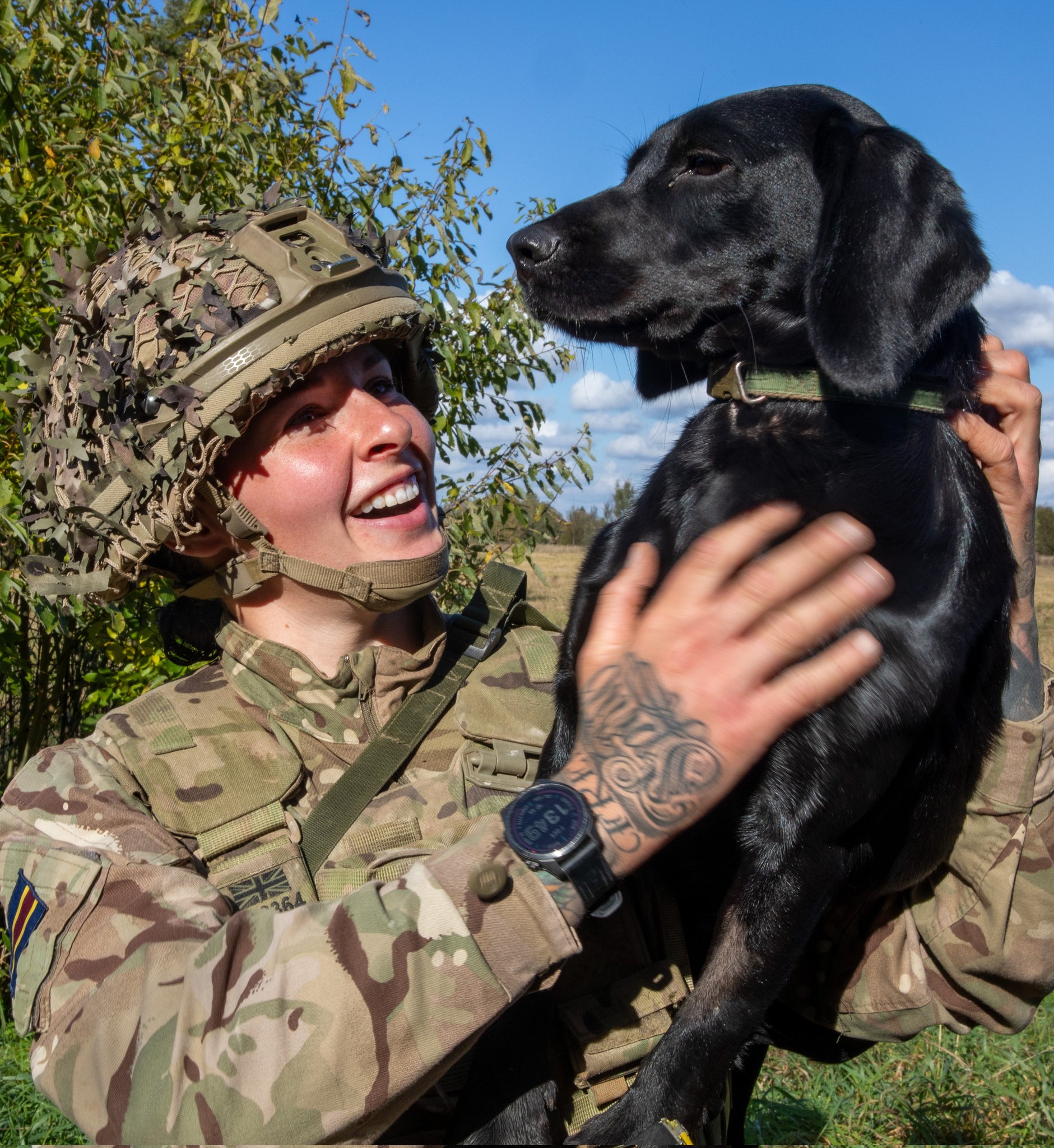 Labrador Retriever Soldiers