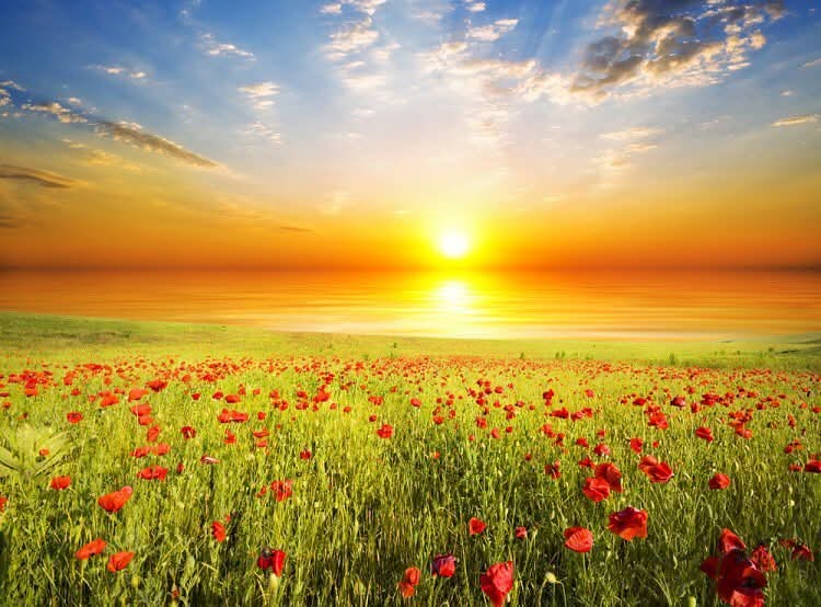 إن من أحياك ليوم جديد.. قادر على إعطائك ما تريد..
صباحكم سعيد مليء بالأمل 🌱🌸🤍 ..