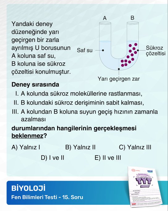 Resim