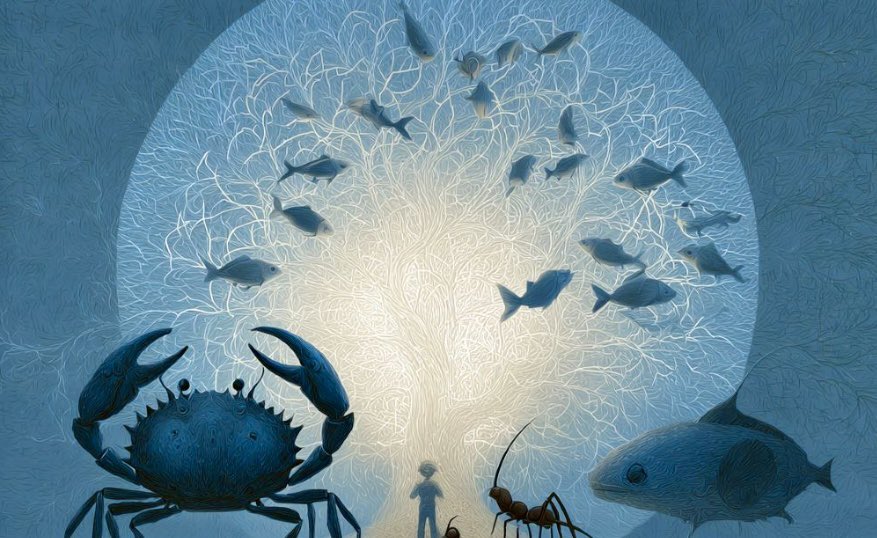 enilev's tweet image. 🧠 Can Animals Feel? A New Roadmap for Consciousness
👉neurosciencenews.com/conciousness-f…
Source: @UMich
#Neuroscience #Psychology #Consciousness
📍Decision Tree for Consciousness:
Provides a logical framework for deciding which animals may experience consciousness.…
