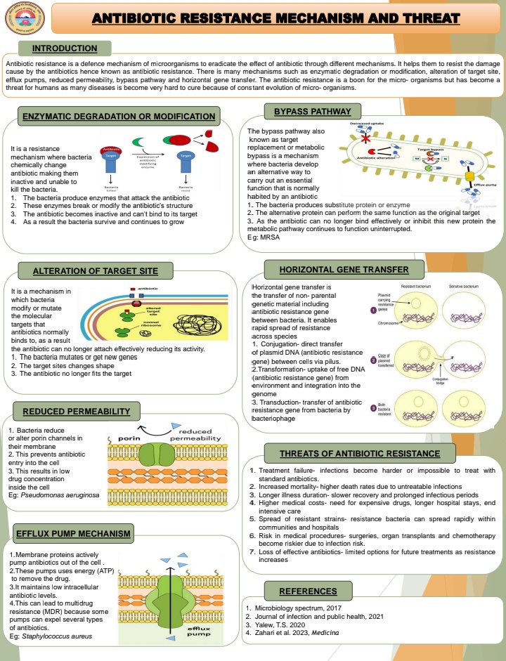 Yogitamalviya13's tweet image. Yesterday&apos;s poster presentation done.✅️
Topic : Antibiotic Resistance Mechanism and Threat.🦠🧫
Explore how bacteria develop resistance through enzymatic degradation,  efflux pump and gene transfer - a growing global concern in healthcare.
#Biotech  #Microscopy  #Science