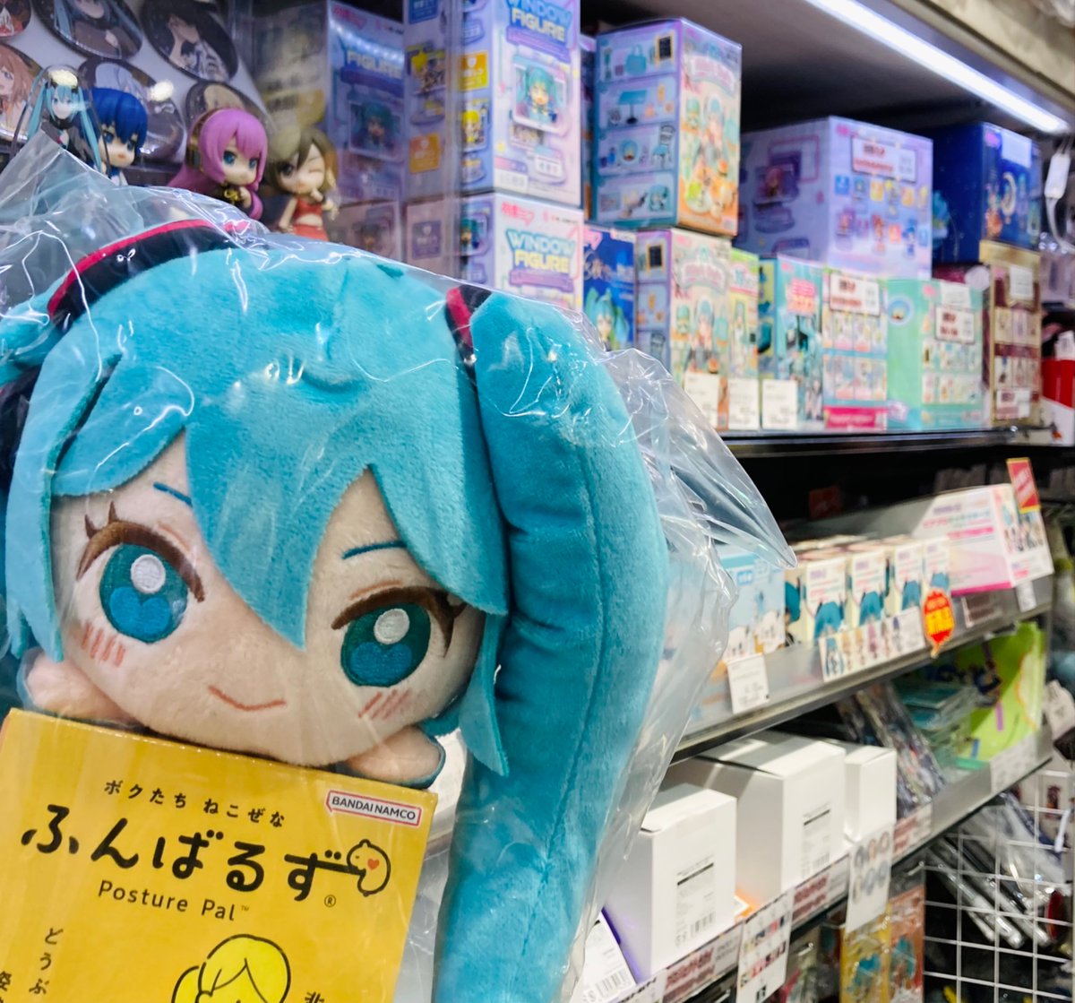 treevillage_jp's tweet image. ✨再入荷✨
【#初音ミク】
『ふんばるず』が再入荷しました！
おなかに挟むだけで癒されちゃいます🎶
他グッズも #ツリビレ で販売中！
#HatsuneMiku #Miku #ミク #ピアプロ