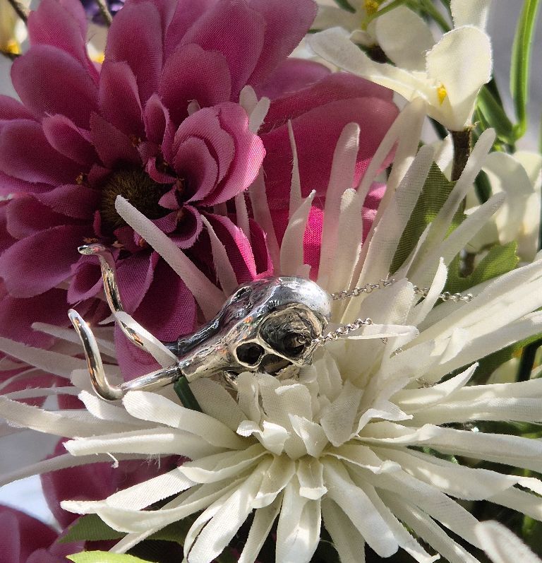 Nova_Silver's tweet photo. Mammoths are known for their strength and durability 🦣 Browse our skull pendants in store and online now!
#jewellery #silver #silverjewellery #present #fashion #designer #novasilver #necklace #pendant #sterlingsilver #handmadejewellery #toothandclaw #skull #halloween #autumn https://t.co/b5diybrWoh