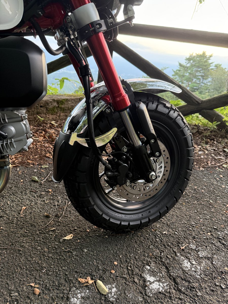 コ熊‼️ NEW ARRIVAL】 