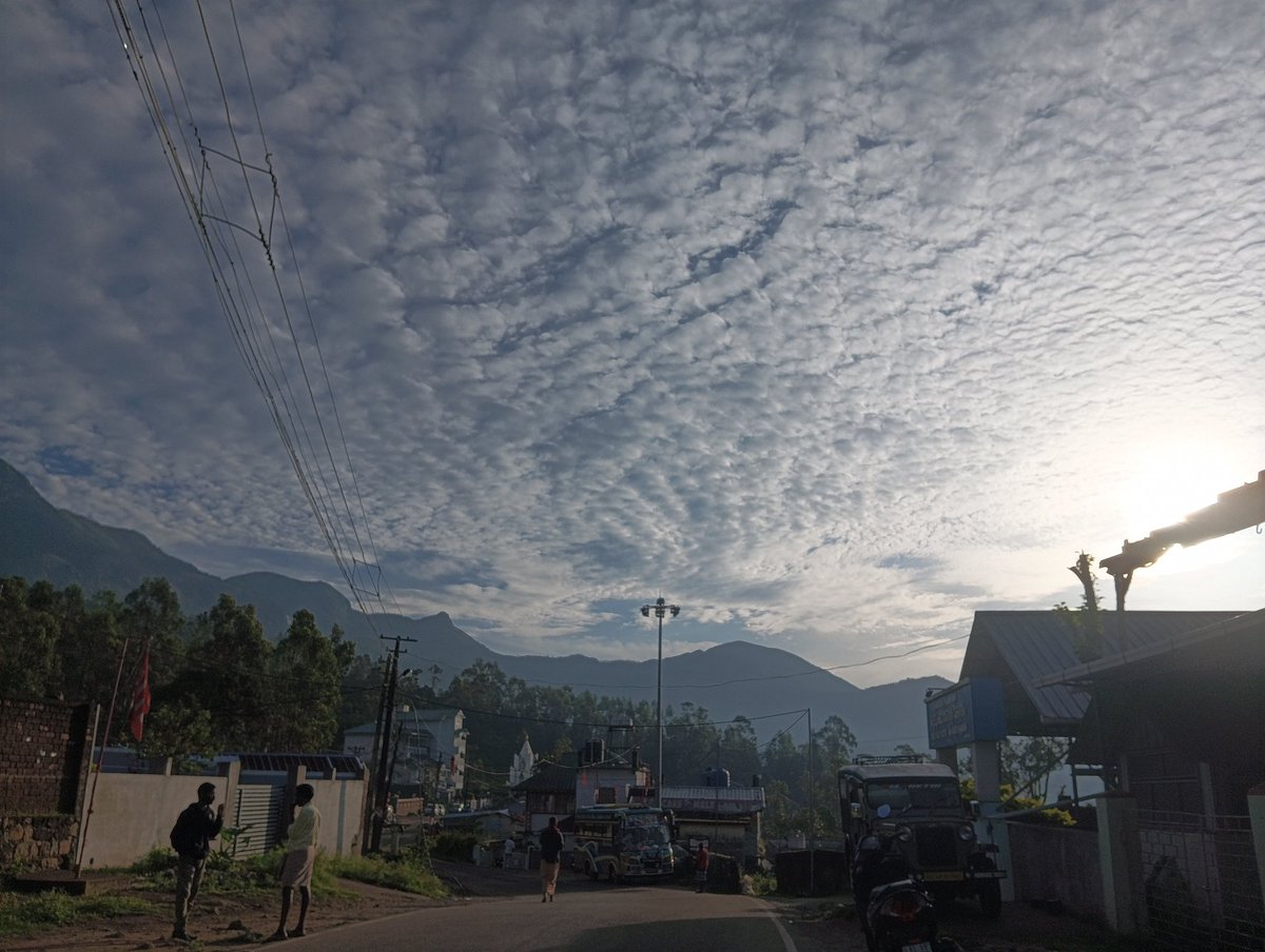 Tettix four tweet media