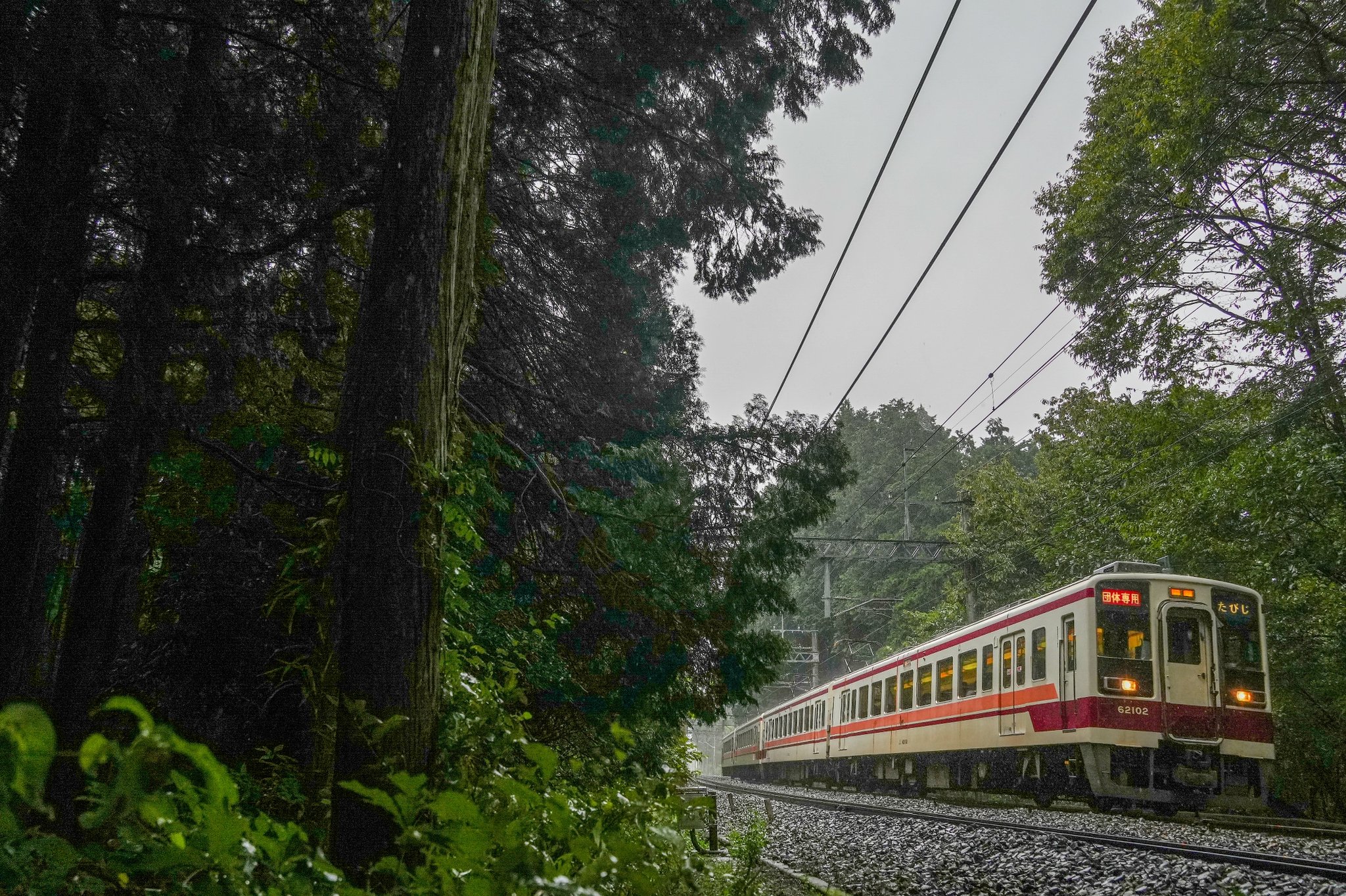 和櫻さん専用　ジャンボリアゲートのみ逃し有り OGIZARU_おぎざる_ (@ogizaru_tob8000) / X