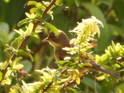 Fernando Lisón tweet media