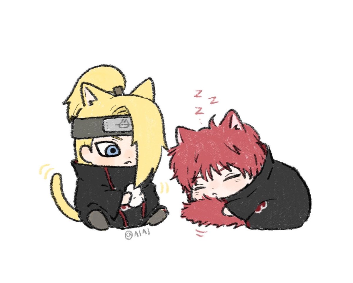 🐱